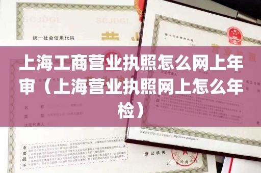 上海工商营业执照怎么网上年审（上海营业执照网上怎么年检）