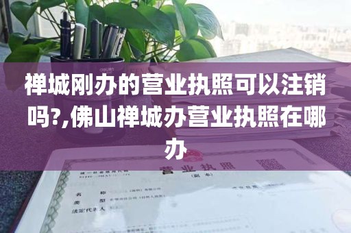 禅城刚办的营业执照可以注销吗?,佛山禅城办营业执照在哪办