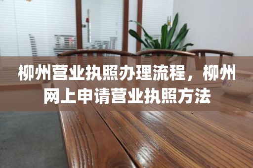 柳州营业执照办理流程，柳州网上申请营业执照方法