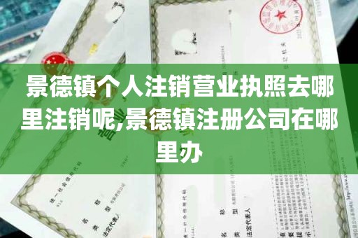 景德镇个人注销营业执照去哪里注销呢,景德镇注册公司在哪里办