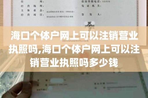 海口个体户网上可以注销营业执照吗,海口个体户网上可以注销营业执照吗多少钱