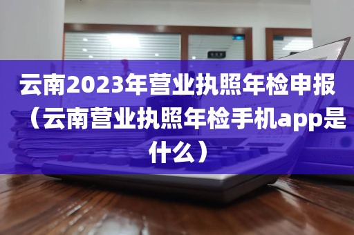 云南2023年营业执照年检申报（云南营业执照年检手机app是什么）