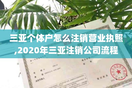 三亚个体户怎么注销营业执照,2020年三亚注销公司流程