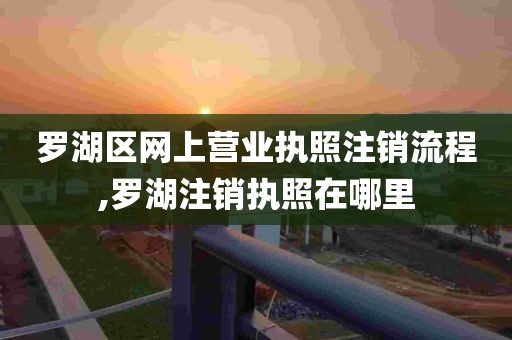 罗湖区网上营业执照注销流程,罗湖注销执照在哪里