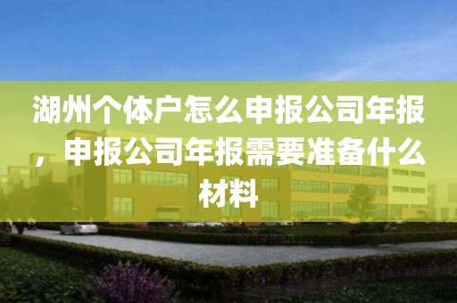 湖州个体户怎么申报公司年报，申报公司年报需要准备什么材料