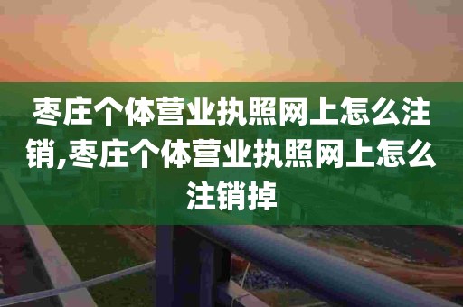 枣庄个体营业执照网上怎么注销,枣庄个体营业执照网上怎么注销掉