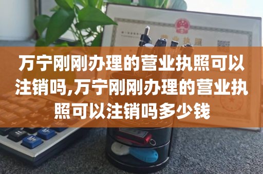 万宁刚刚办理的营业执照可以注销吗,万宁刚刚办理的营业执照可以注销吗多少钱