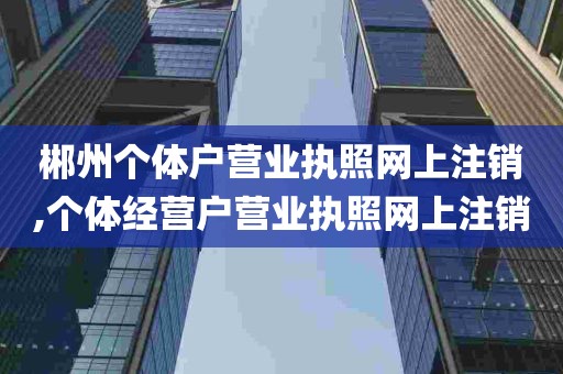 郴州个体户营业执照网上注销,个体经营户营业执照网上注销