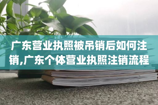 广东营业执照被吊销后如何注销,广东个体营业执照注销流程
