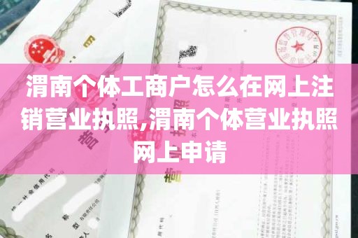 渭南个体工商户怎么在网上注销营业执照,渭南个体营业执照网上申请