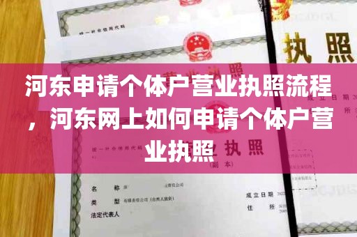 河东申请个体户营业执照流程，河东网上如何申请个体户营业执照