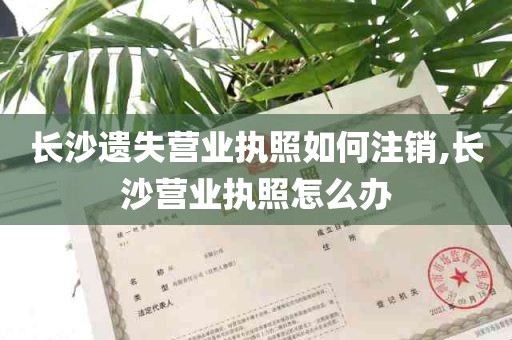 长沙遗失营业执照如何注销,长沙营业执照怎么办