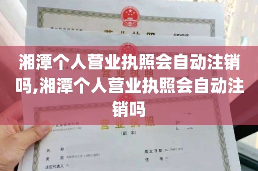 湘潭个人营业执照会自动注销吗,湘潭个人营业执照会自动注销吗