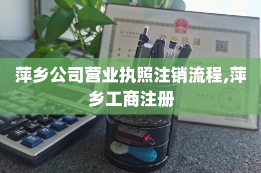 萍乡公司营业执照注销流程,萍乡工商注册