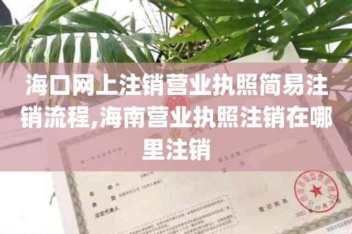 海口网上注销营业执照简易注销流程,海南营业执照注销在哪里注销