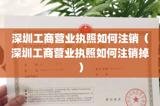 深圳工商营业执照如何注销（深圳工商营业执照如何注销掉）