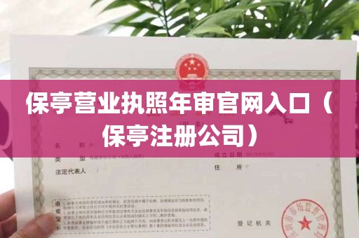 保亭营业执照年审官网入口（保亭注册公司）