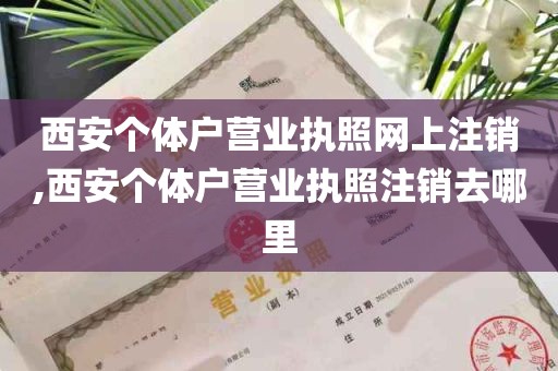 西安个体户营业执照网上注销,西安个体户营业执照注销去哪里