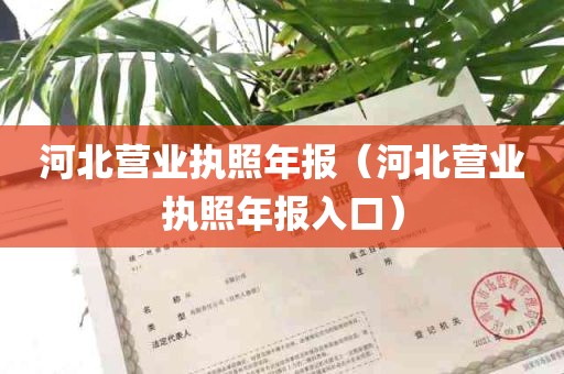 河北营业执照年报（河北营业执照年报入口）