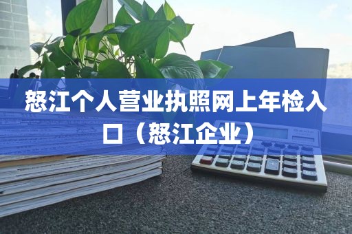 怒江个人营业执照网上年检入口（怒江企业）