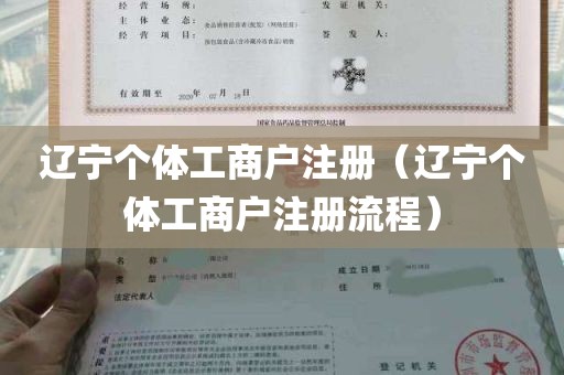 辽宁个体工商户注册（辽宁个体工商户注册流程）