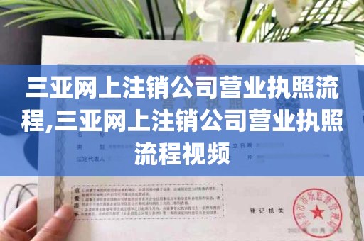 三亚网上注销公司营业执照流程,三亚网上注销公司营业执照流程视频