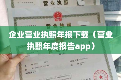 企业营业执照年报下载（营业执照年度报告app）