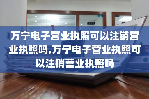 万宁电子营业执照可以注销营业执照吗,万宁电子营业执照可以注销营业执照吗