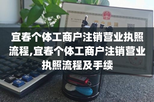 宜春个体工商户注销营业执照流程,宜春个体工商户注销营业执照流程及手续