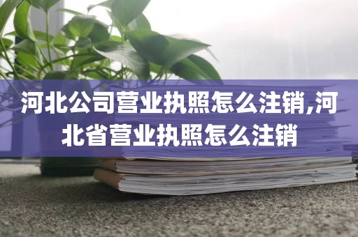 河北公司营业执照怎么注销,河北省营业执照怎么注销