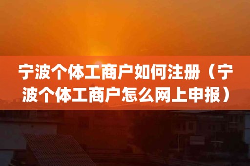 宁波个体工商户如何注册（宁波个体工商户怎么网上申报）