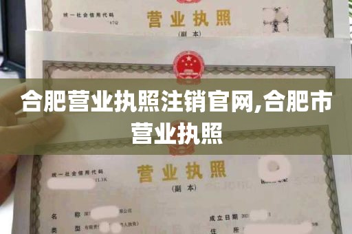 合肥营业执照注销官网,合肥市营业执照