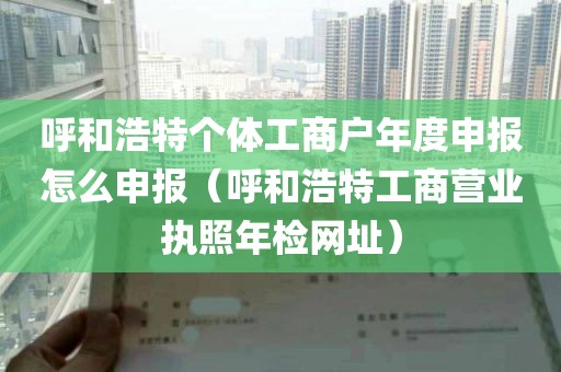 呼和浩特个体工商户年度申报怎么申报（呼和浩特工商营业执照年检网址）