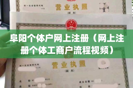 阜阳个体户网上注册（网上注册个体工商户流程视频）