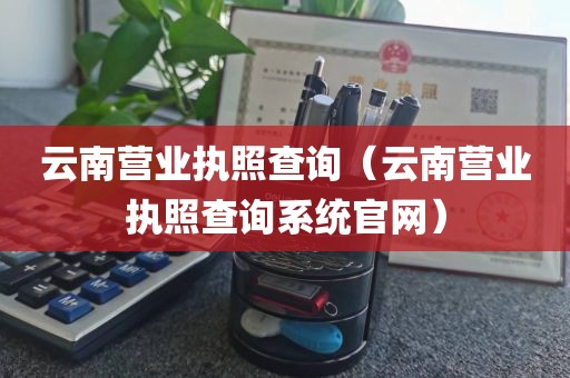 云南营业执照查询（云南营业执照查询系统官网）