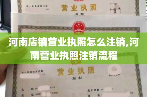 河南店铺营业执照怎么注销,河南营业执照注销流程