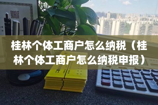 桂林个体工商户怎么纳税（桂林个体工商户怎么纳税申报）