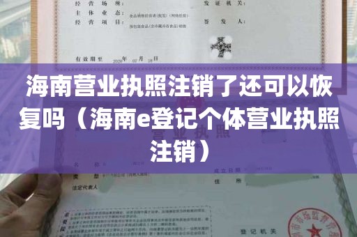 海南营业执照注销了还可以恢复吗（海南e登记个体营业执照注销）