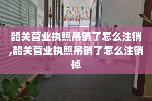 韶关营业执照吊销了怎么注销,韶关营业执照吊销了怎么注销掉