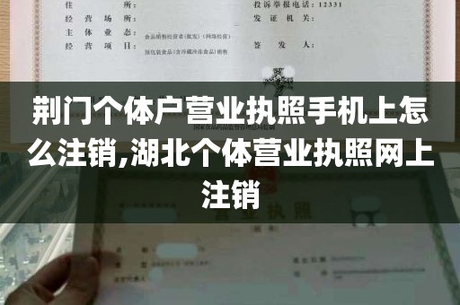 荆门个体户营业执照手机上怎么注销,湖北个体营业执照网上注销