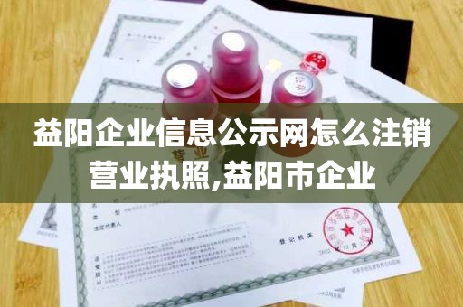 益阳企业信息公示网怎么注销营业执照,益阳市企业