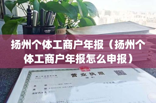 扬州个体工商户年报（扬州个体工商户年报怎么申报）