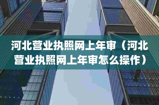 河北营业执照网上年审（河北营业执照网上年审怎么操作）