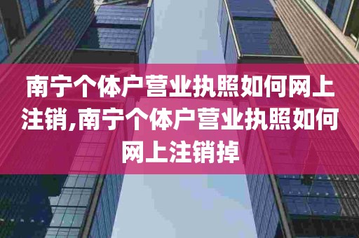 南宁个体户营业执照如何网上注销,南宁个体户营业执照如何网上注销掉