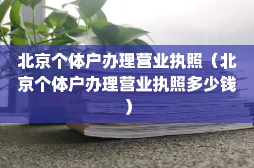 北京个体户办理营业执照（北京个体户办理营业执照多少钱）