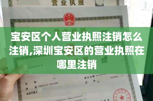 宝安区个人营业执照注销怎么注销,深圳宝安区的营业执照在哪里注销