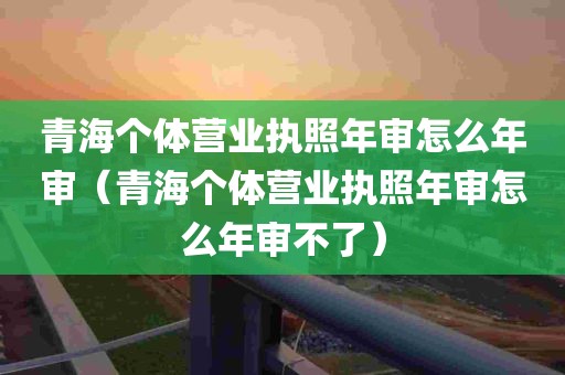 青海个体营业执照年审怎么年审（青海个体营业执照年审怎么年审不了）