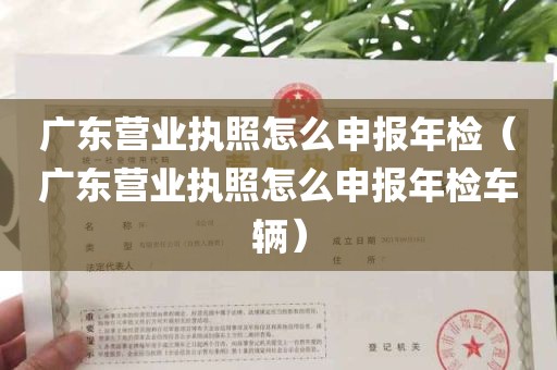 广东营业执照怎么申报年检（广东营业执照怎么申报年检车辆）