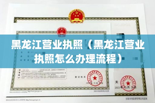 黑龙江营业执照（黑龙江营业执照怎么办理流程）