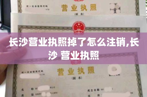 长沙营业执照掉了怎么注销,长沙 营业执照